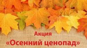 Осенний ценопад