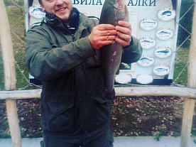 Галерея
